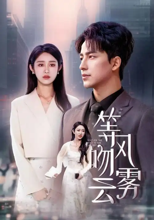 总裁的隐藏身份 竖屏短剧